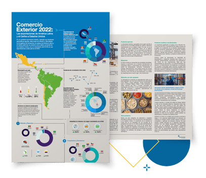 Mockup-infografia-2022